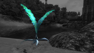 Oblivion - Nirnroot Guide