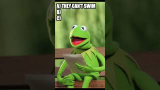 Trivia with Kermit the Frog - Question 85