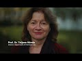 Department of Criminal Law, Max Planck Institute for the Study of Crime, Security and Law