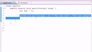 Java Video Tutorial Part 20 |  Conditional Operators