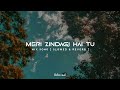Meri zindagi hai tu   slowed  reverb   new song 2023  hindi song  underwater feel song