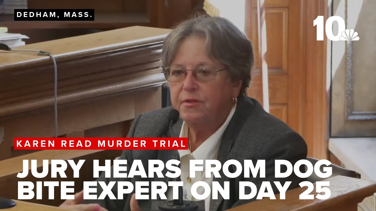 Defense dog bite expert testifies on Day 25 of Karen Read murder trial ...