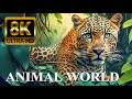 Animal world 8k ultra  amazing wildlife