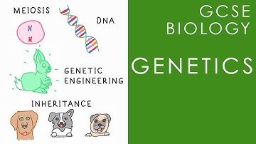 GENETICS - DNA, Variation & Inheritance - GCSE Biology