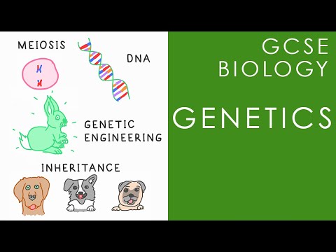 GENETICS - DNA, Variation & Inheritance - GCSE Biology