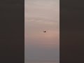 Remote Control Airplane #youtubeshorts #rcairplanes