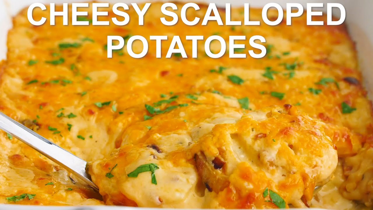 Cheesy Scalloped Potatoes YouTube