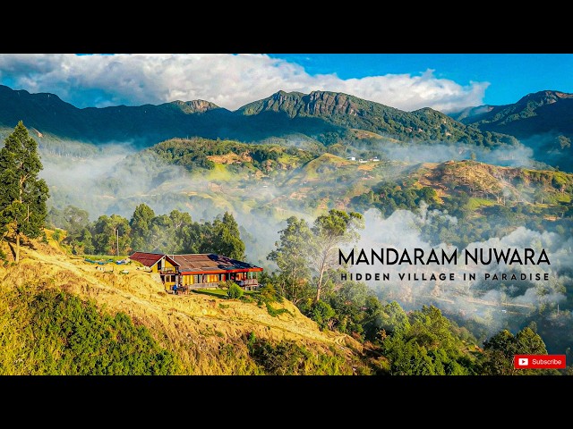 Into the Wild Heart of Sri Lanka | A Hidden Village in Paradise සෙනෙහසේ ගම්මානයසොයා | 4K