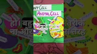 Animal Cell and Plant Cell School Project #shortsfeed #shorts #school #project