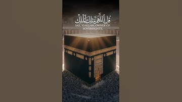 القارئ أحمد خضر | #أحمد_خضر #quran #اكسبلور #قرآن