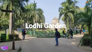 Download Lagu Lodhi Garden Delhi #Shortvideo #shorts MP3