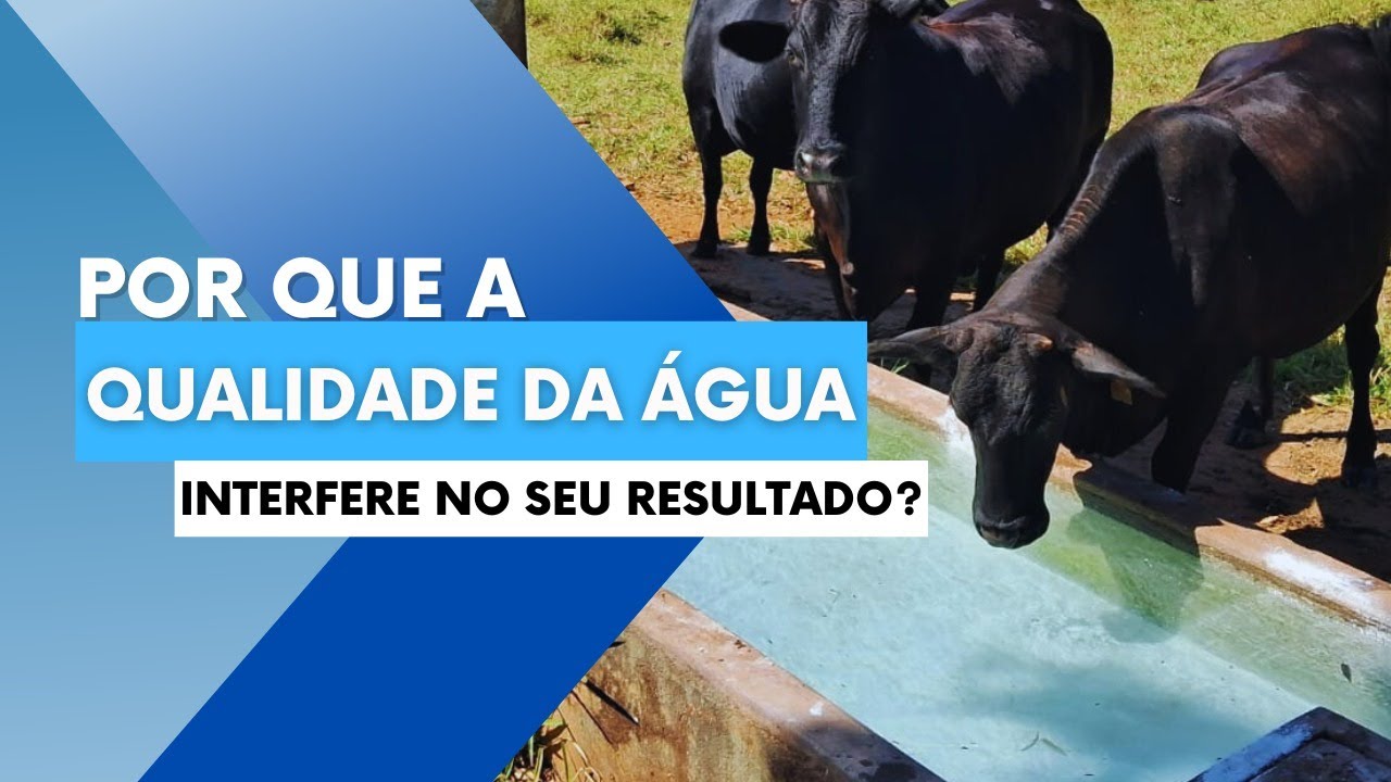 Vídeo #64 - Qualidade da água: o detalhe 