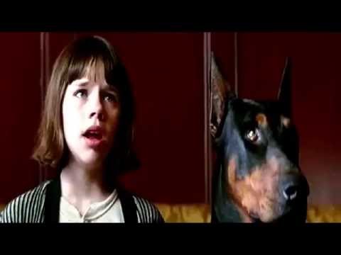 incredible dobermans