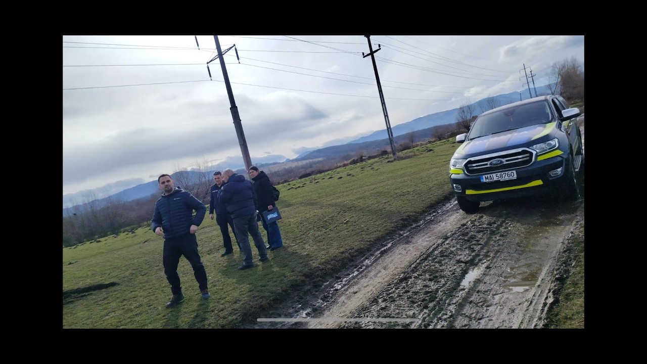 Povestea atacului celor 6 câini Kangal: ce s-a întâmplat și ce trebuie să știm