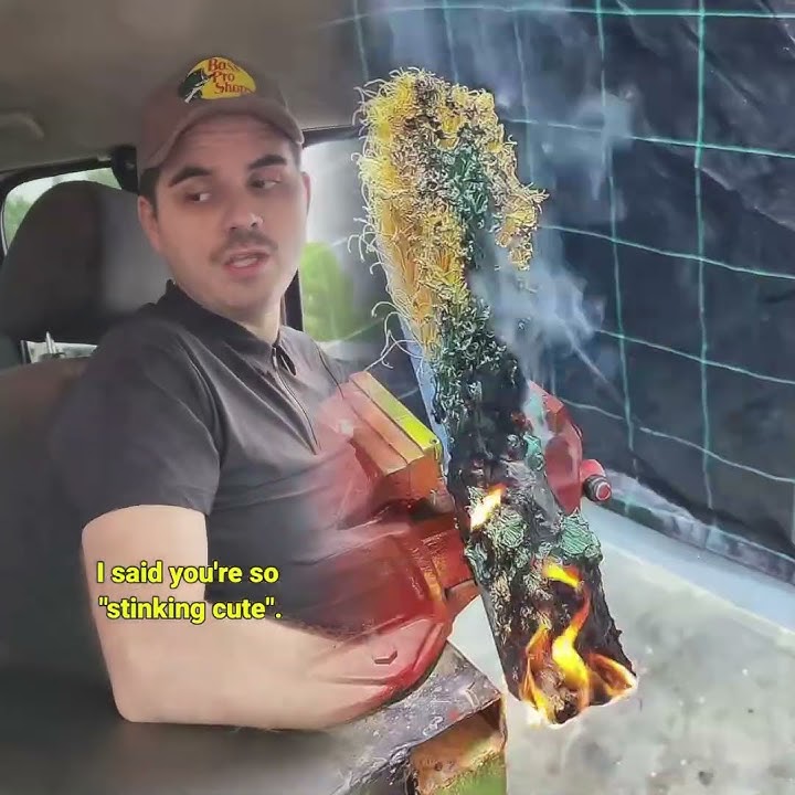 Daddy needs to fix his language🤣