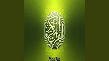 عامر الكاظمي سورة الزمر