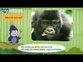 Meet the Animals  | Mountain Gorilla | Wild Animals | Little Fox | Stories for Kindergarten