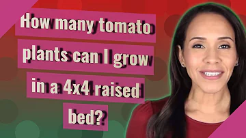 Kolik rostlin rajčat na vyvýšeném záhonu 4x4?