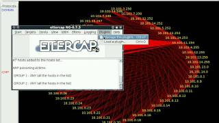 Etherape  & ethercap-ng