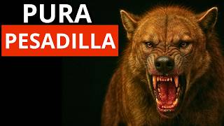 El Monstruo Prehistórico Mitad Perro, Mitad Oso