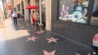 Celebrity Flowers placed on actor Alan Arkin's Hollywood Walk of Fame star Profile