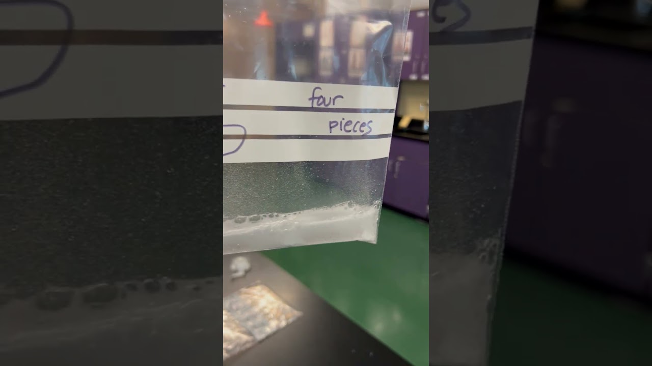 Four Pieces Antacid Tablet and Water in Ziplock bag - NYS Grade 5 Investigation - What's In the Bag?