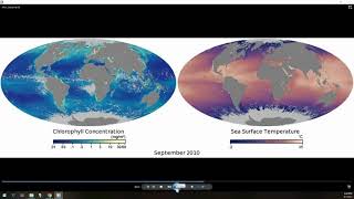 NASA Chlorophyll vs. Sea Surface Temperature Maps