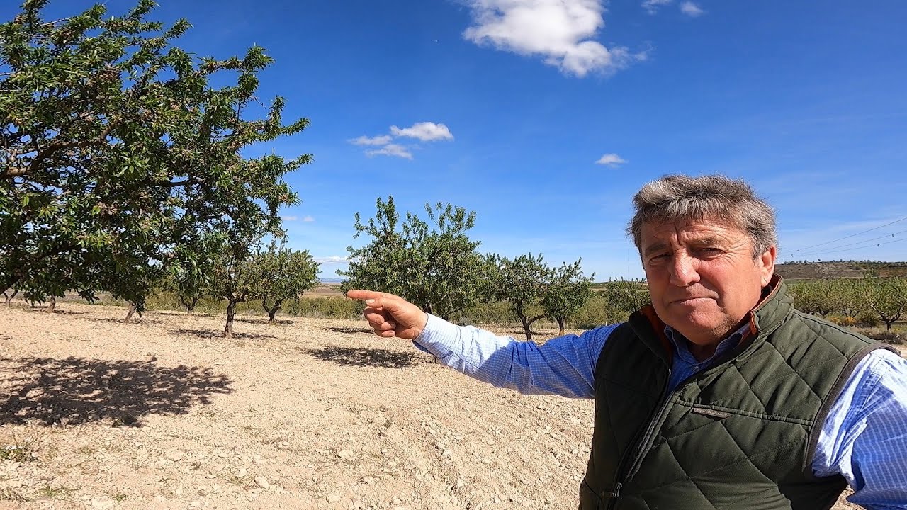 Las heladas, consecuiencias y seguros.