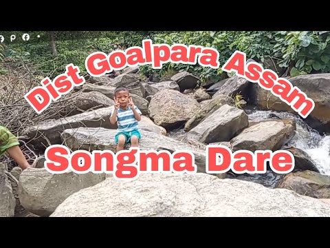 Do.rengtip Songma Dareko Nikkujani gimin Ia biaprango roenga