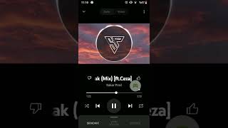 Birer Kayıp Gider Her Bir Sevdiğim