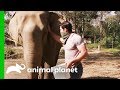 Elephant With Possible Tuberculosis Needs Her Trunk Checked | Evan Goes Wild: Passion and Purpose