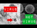 How to identify coronavirus in an electron microscope