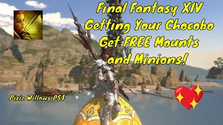 FFXIV How To Get Your Chocobo How To Get FREE Mounts And Minions! PlayStation 4