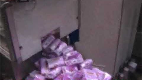 Toilet Soap Wrapping Machine - WRAPPEX