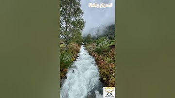 (عَيْنًا فِيهَا تُسَمَّىٰ سَلْسَبِيلًا)..مقتطفات من سورة الانسان