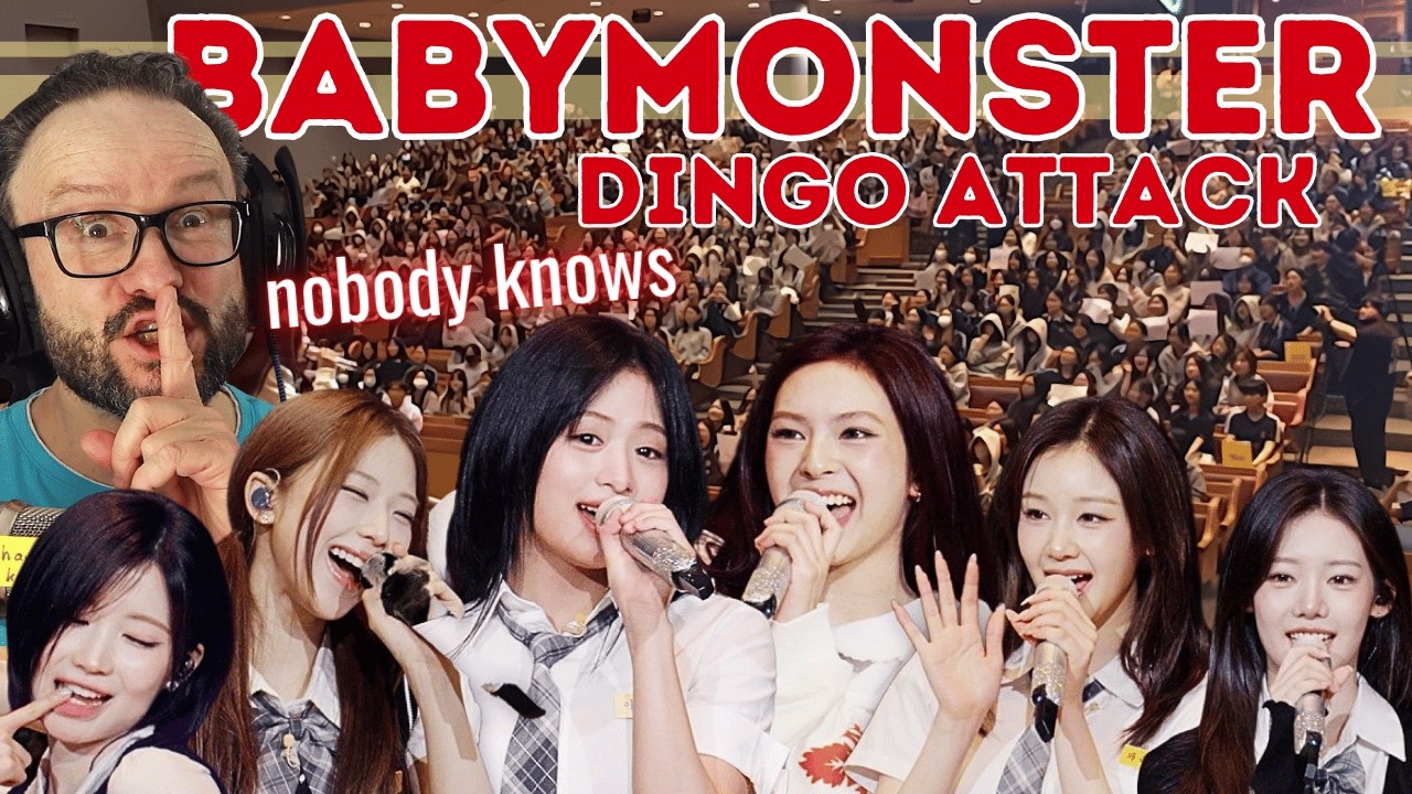 pure energy!!! BABYMONSTER - Showed Up and the Sing-Along Was Legendary🔥DINGO ATTACK reaction