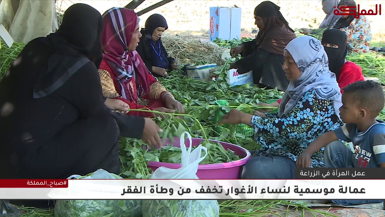 العاملات الزراعيات في الأغوار الجنوبية