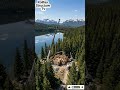 From Forest to Dream Retreat | Lakefront Timber Lodge Construction Time-Lapse #shorts #viral #foryou