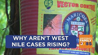 Maricopa County setting traps to test mosquitoes for West Nile