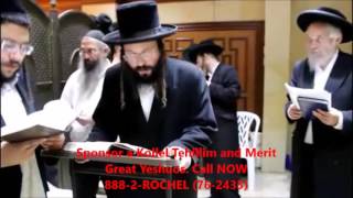 Mosdos Kever Rachel - Kollel Tehilim Live