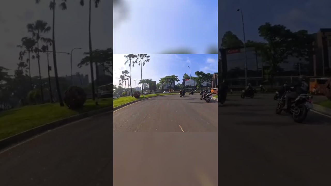 Motorcycle POV: Cruising Down a Tree-Lined Road with Friends! 