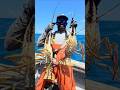 LOBSTAH WUKUP!?? 😂 This is getting out of hand #skyes_the_limit_fishing #lobster #trapping #fyp #bvi