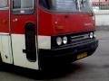 Ikarus-256.74 Ростов-на-Дону