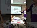 HOA Karen Called Emergency HOA Meeting Because Of My BBQ Smoke | HOA Karen Stories