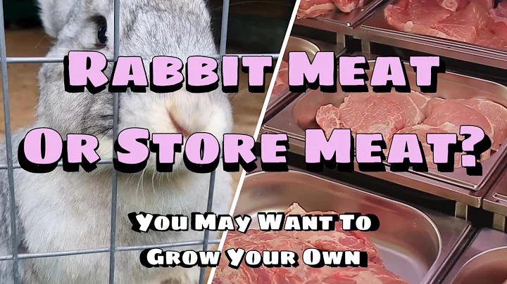 Rabbit Meat Or Store Meat? - DayDayNews