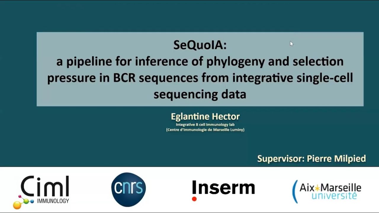 AIRR-C Seminar Series, Jan 30, 2025 - Eglantine Hector, Aix-Marseille University, France