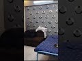 Flat for Sale 3 Bed dd with Attached Bath 6th Floor ... Subscribe or like or share your All Contact