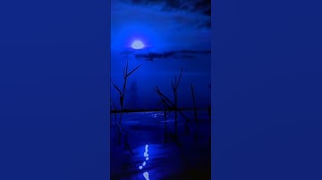 سورة غافر الآية الكريمة  ( وقال فرعون ذروني كاملة  )