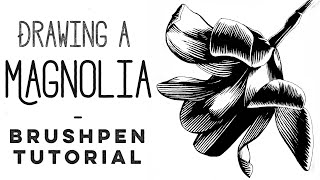 In this video i show you how to use a brush pen draw magnolia flower
with ink hatching techniques. demonstrate create lines of differe...