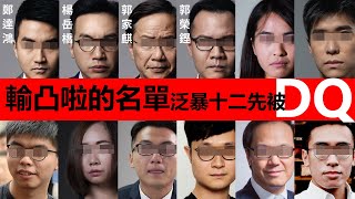 20200730G【突發】輸凸拉的名單，泛暴十二先被DQ😗  楊岳橋、郭榮鏗、郭家麒、何桂藍、岑敖暉、黃之鋒、袁嘉蔚、劉穎匡、鄭錦滿、梁繼昌、鄭達鴻、梁晃維  | 芒向快報